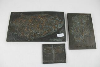 0266-Bronzeabgüsse von Versteinerungen Konvolut 3 St.
