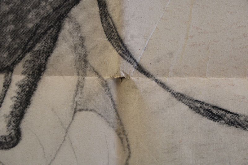 0323-Großes orig. Rekrutierungsplakat der Fallschirmjäger aus der Zeit des Zweiten Weltkriegs – Bild 4