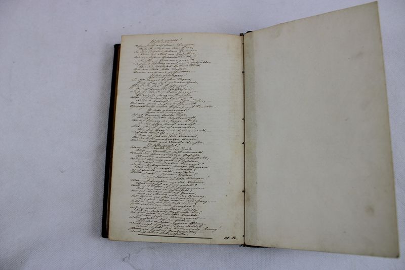 0356-Handgeschriebenes Gedichtbuch 19 Jh. – Bild 6